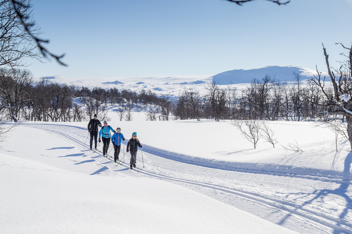 Familj som åker längdskidor i Tänndalen