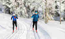 Par som åker längdskidor i spår