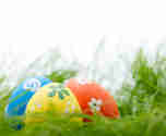 2747883 Easter Eggs In Grass