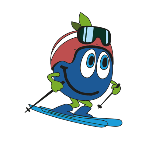 Tecknad Bärra som åker skidor