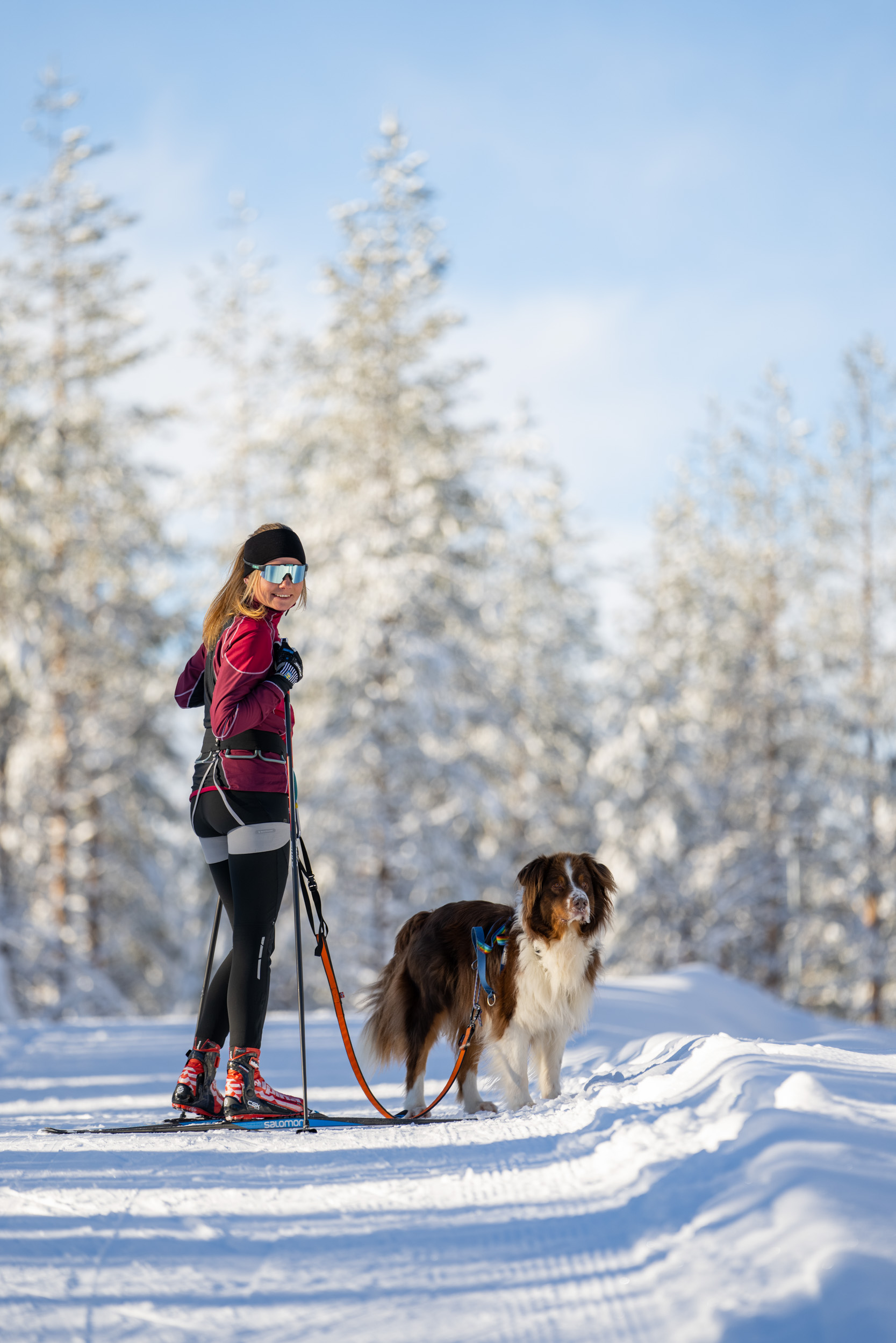 Tjej på längdskidor med hund i spåren i Orsa Grönklitt
