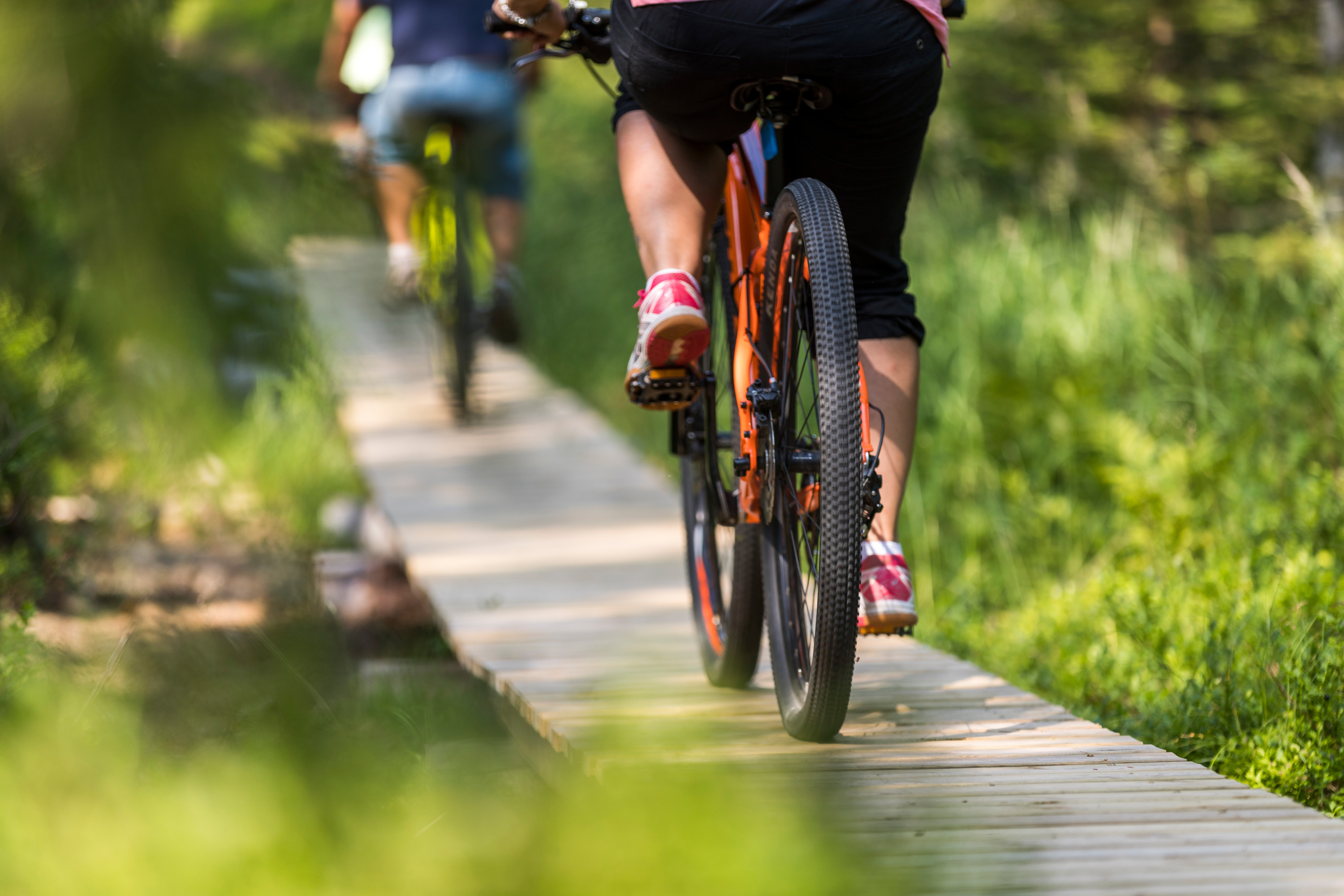 Cyklister som cyklar över spång i Orsa Grönklitt