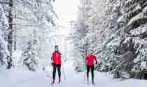 Par som åker längdskidor i spår i skog