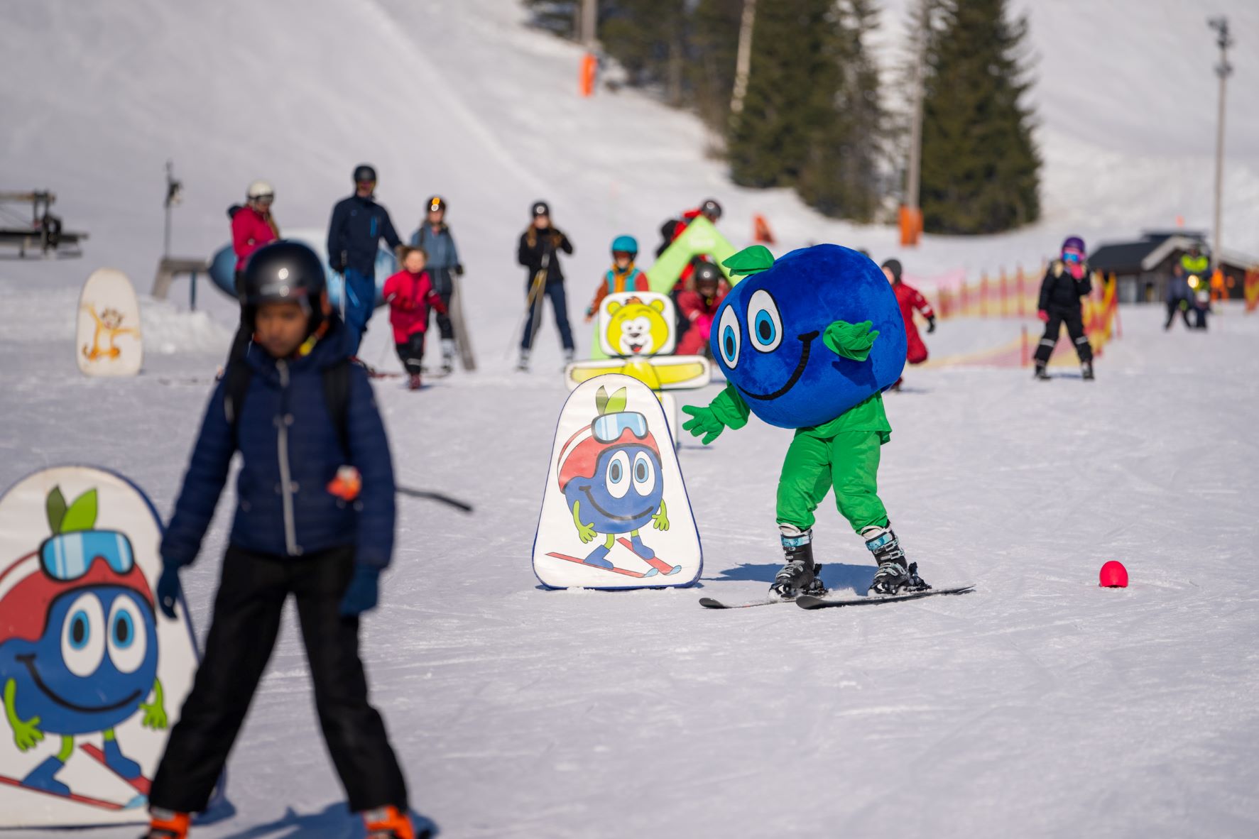 Blåbäret Bärra åker slalom i barnbacken i Orsa Grönklitt