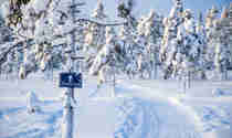 Vinterlandskap Orsa Grönklitt, på ett av träden finns en skylt med ordet vinterpromenad på