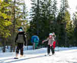 Barn som åker slalom i alpinbacke