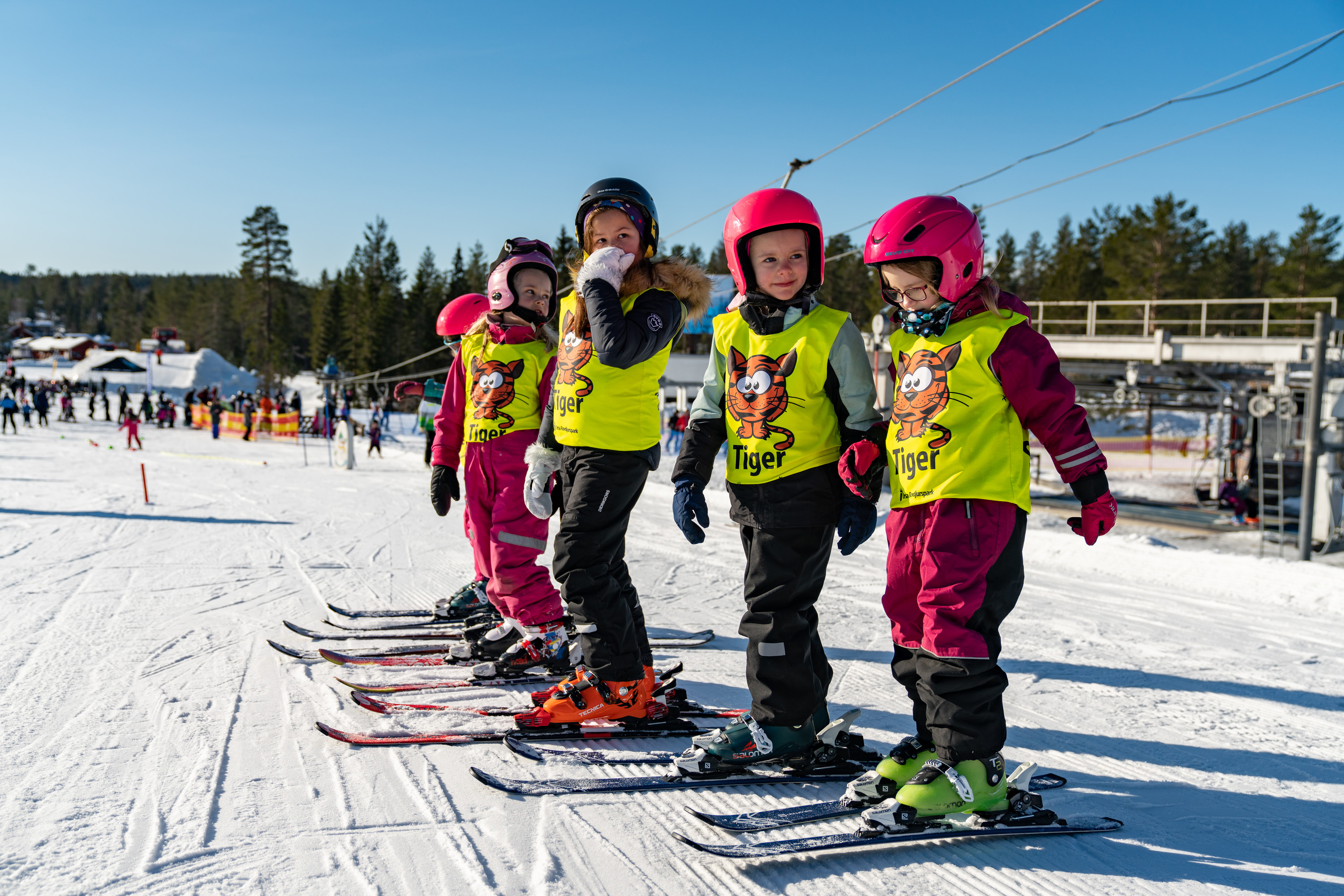 Barn på led i slalomutrustning och skidskolevästar under skidskola i Orsa Grönklitt